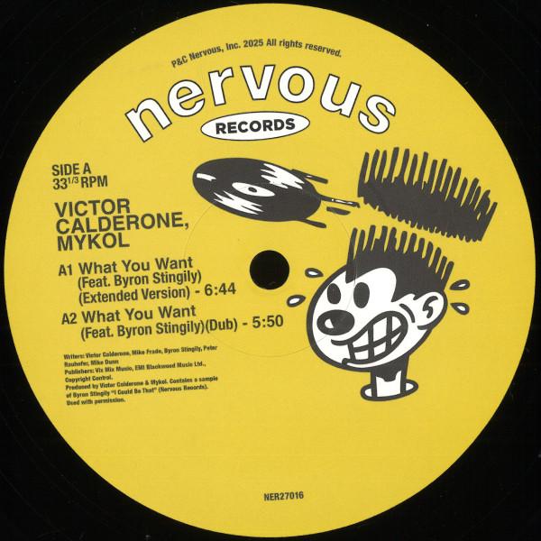Victor Calderone & Mykol – What You Want / Take You Back vinyl cover